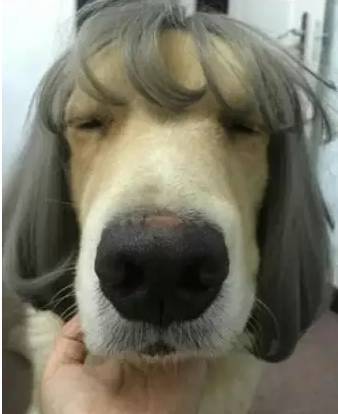 bet bono de bienvenida